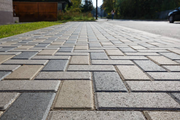 Best Professional Driveway Pavers  in Brazoria, TX