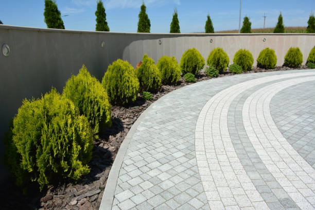 Driveway Repair Near Me in Brazoria, TX