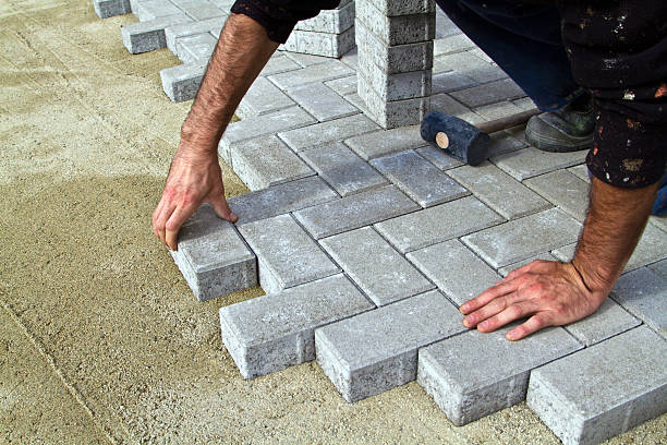 Best Driveway Paving Contractor  in Brazoria, TX