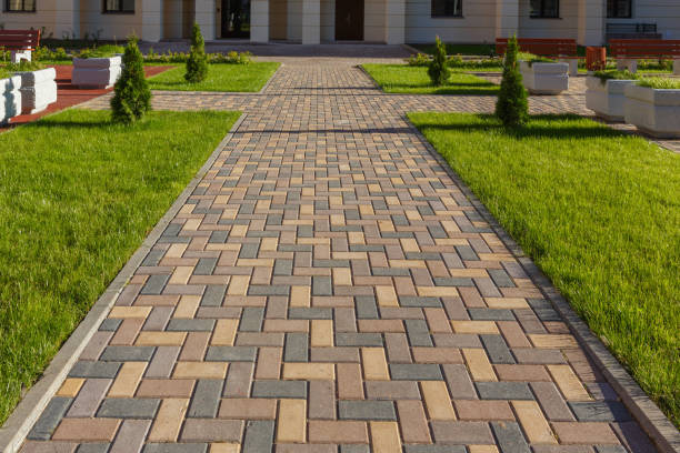 Best Custom Driveway Pavers  in Brazoria, TX